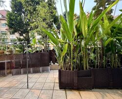 Seletar Springs Condominium (D28), Condominium #618961151
